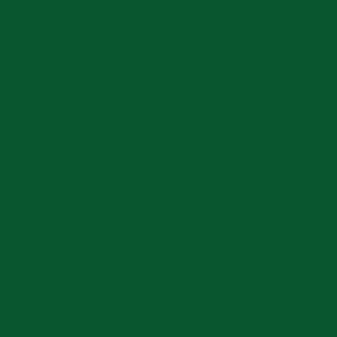Waldgrün P6L