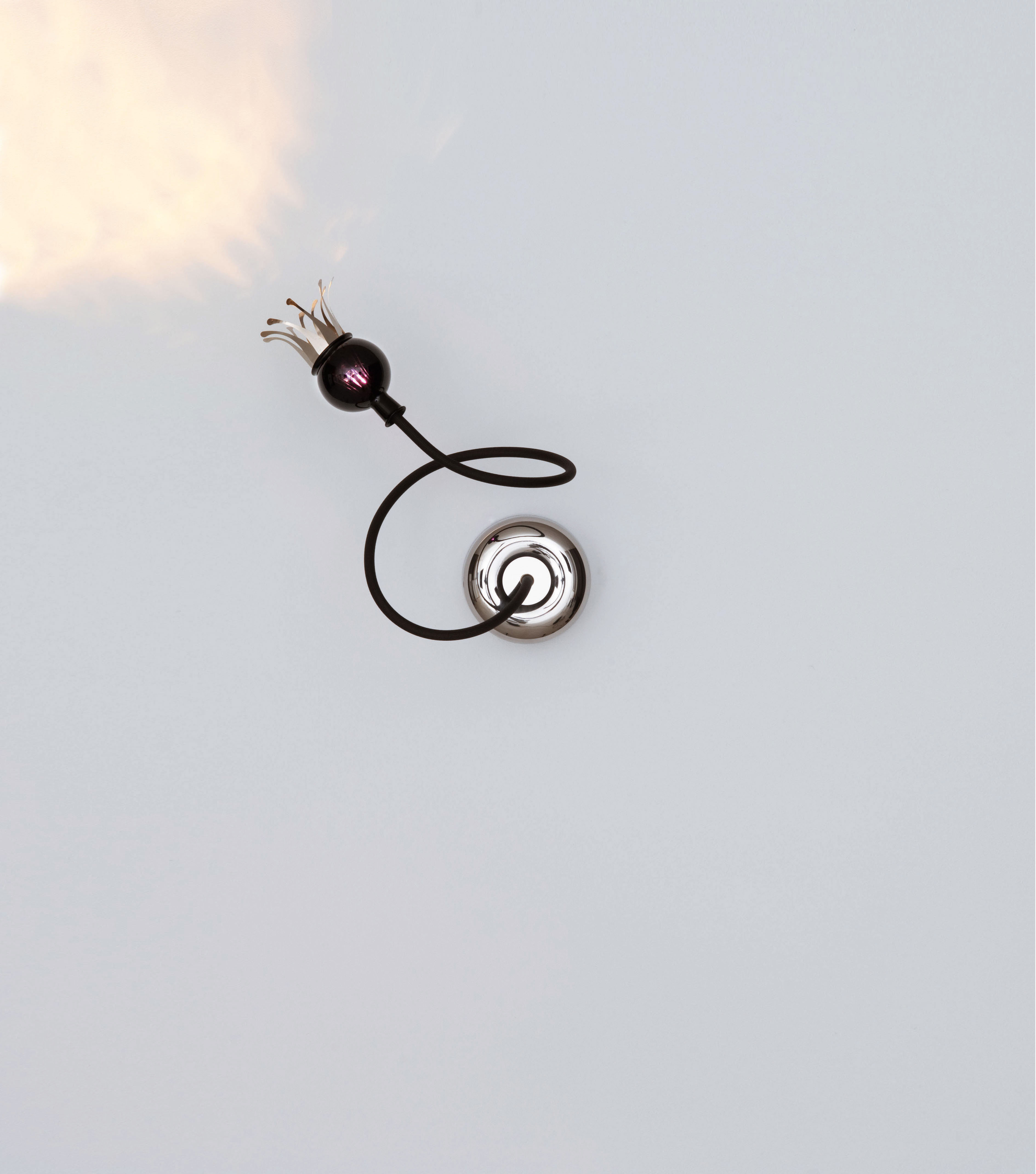 02_poppy_w_1-arm_violet_black_rgb_72dpi_cl