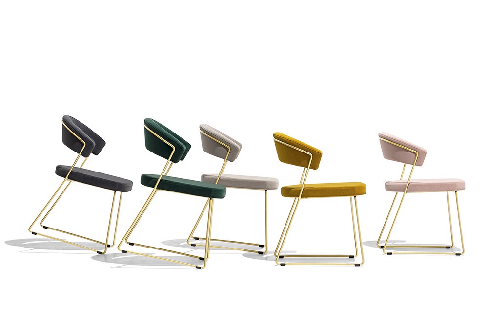 cb1022_p33l_mat_fam_connubia_1022 cb1022_p33l_mat_fam_connubia_1022