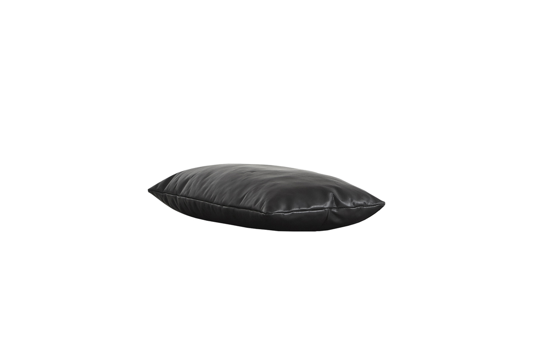 101039_level_daybed_black_pillow_exposed