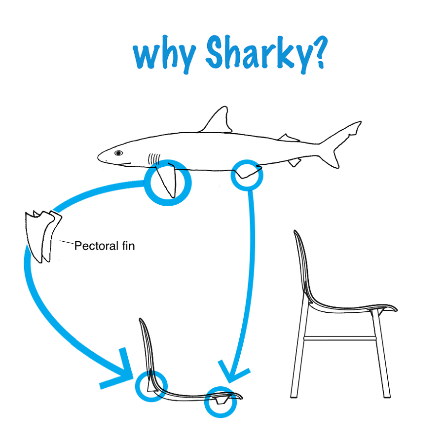 whysharky-900x900(1)