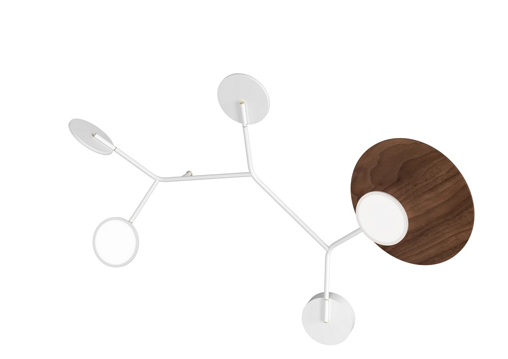 bw5(bmodel)walnut-white_tunto_balloon bw5(bmodel)walnut-white_tunto_balloon