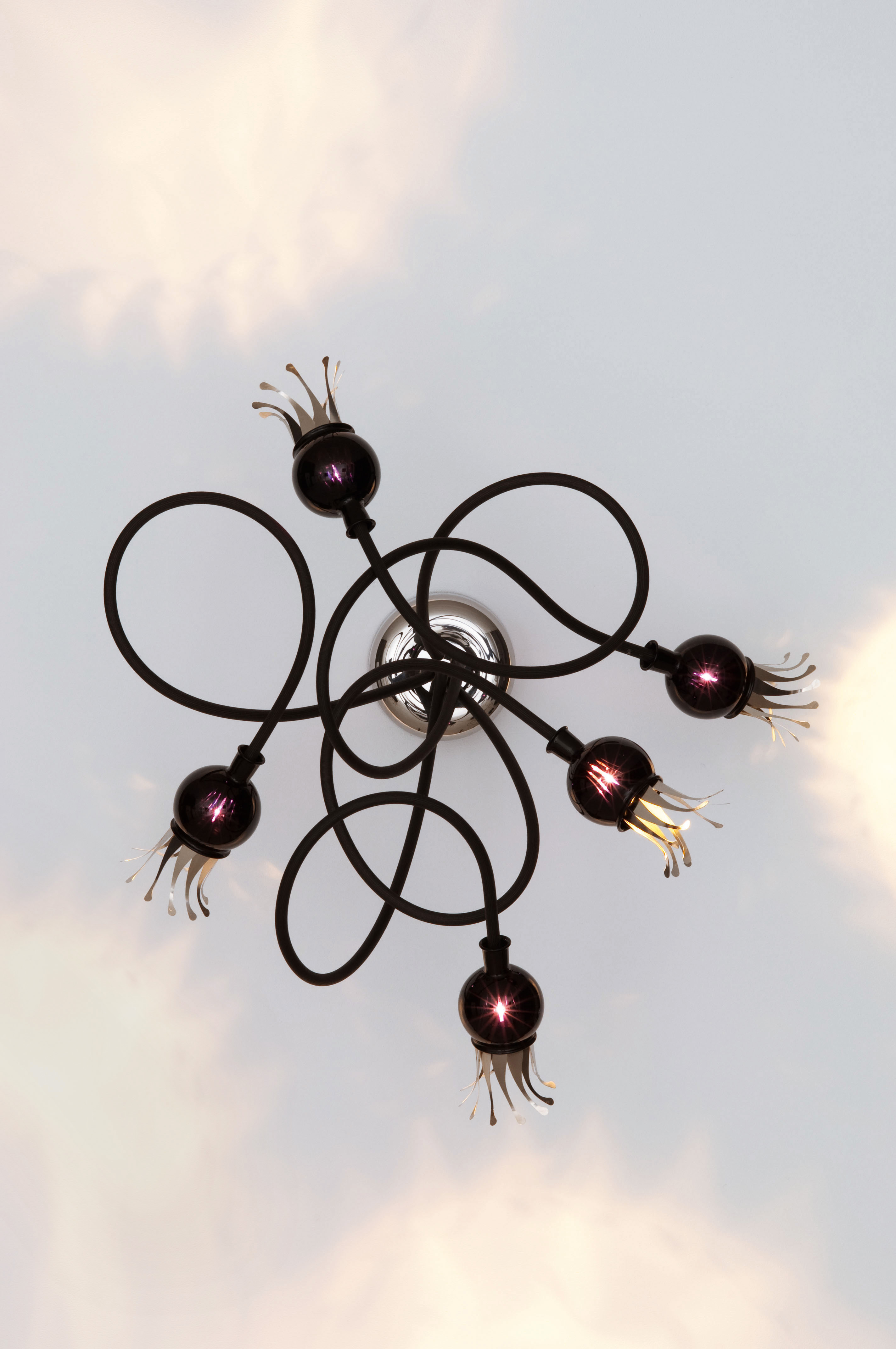11_poppy_w_5-arms_violet_black_rgb_72dpi_cl