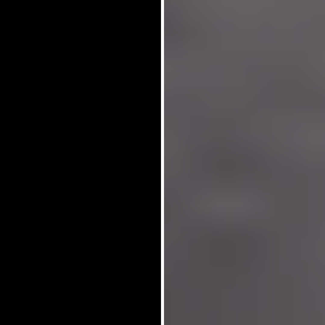 Schwarz | Panther Black