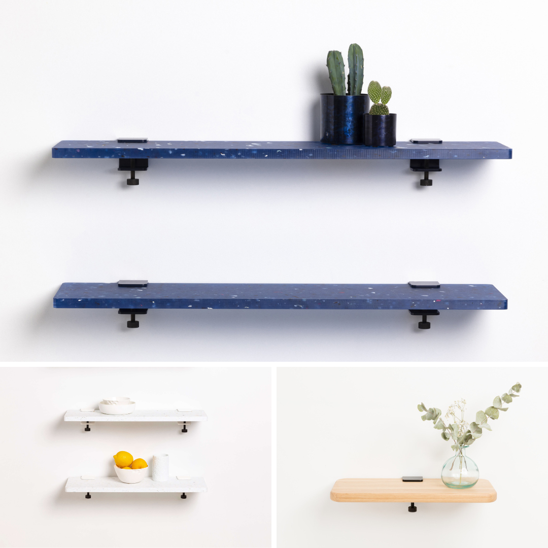 Regal von Tiptoe Regal von Tiptoe