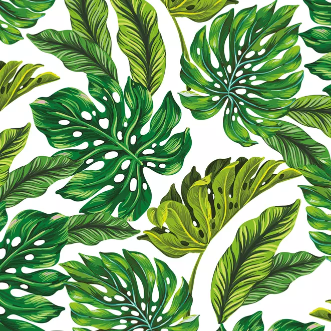 Tropical