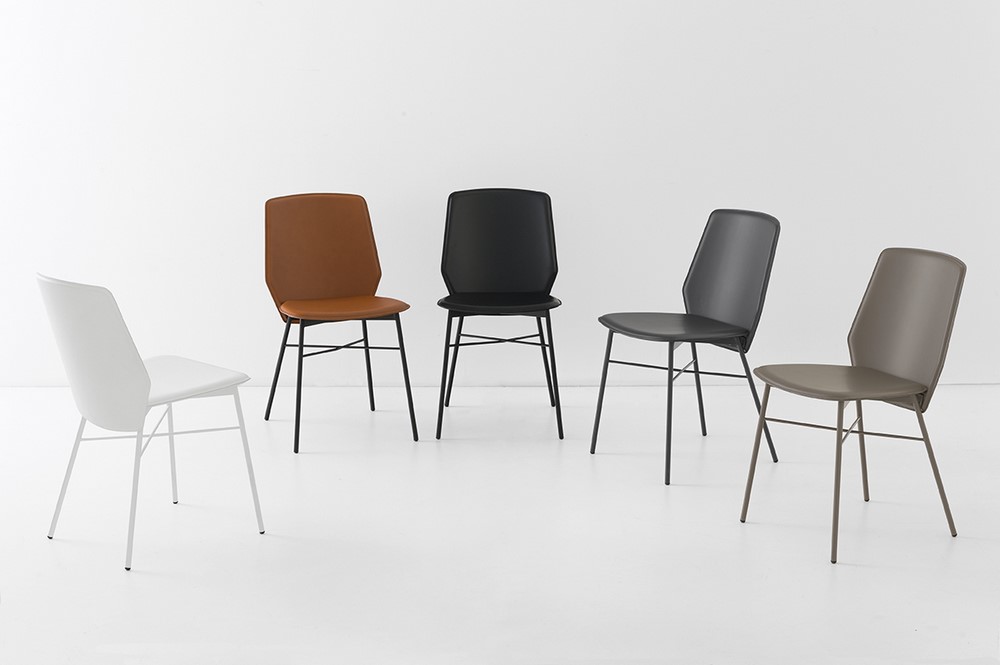 sibilla_cb1959_fam sibilla_cb1959_fam