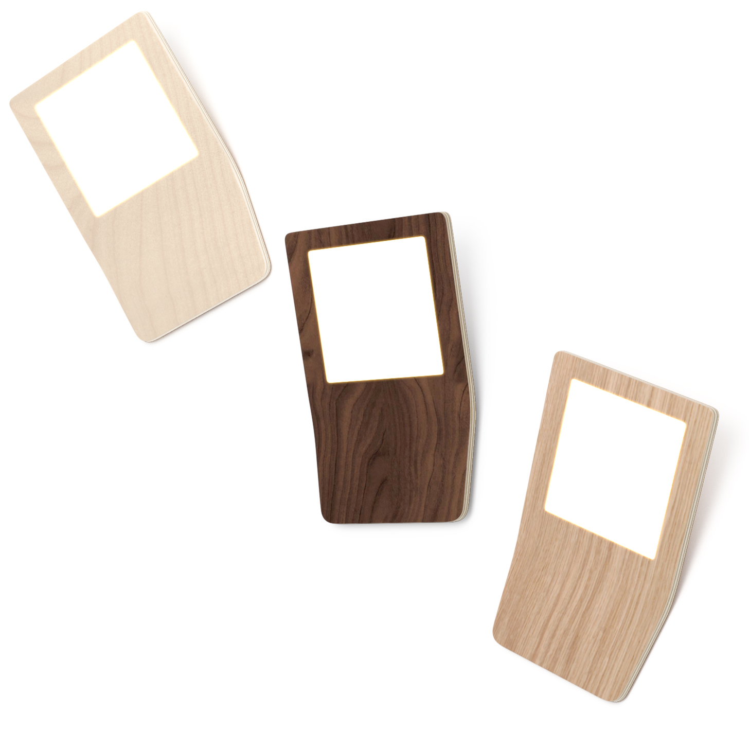 butterfly2birchwalnutoak butterfly2birchwalnutoak