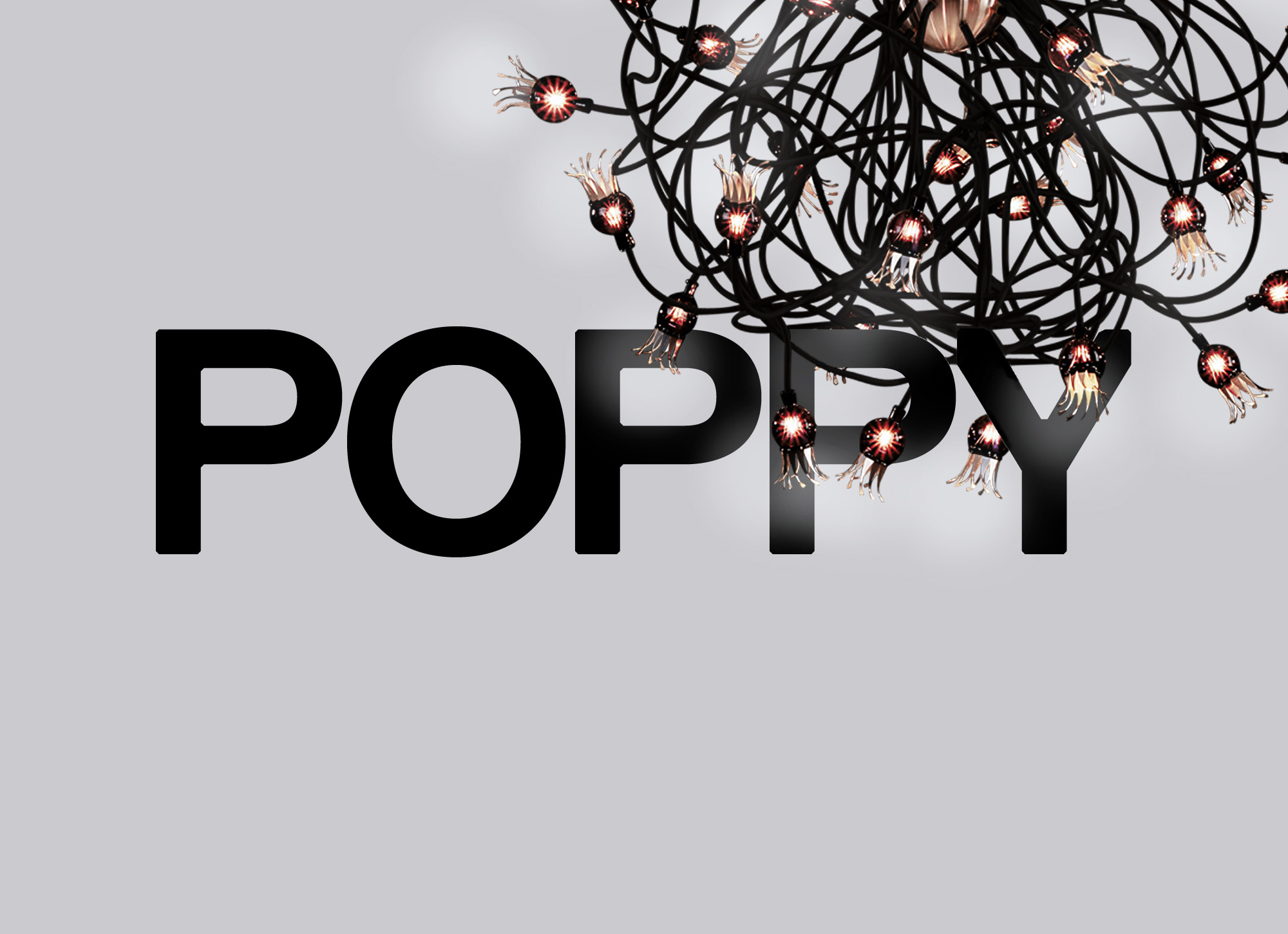 poppy-family-susp-007